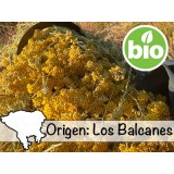 Aceite Esencial de Siempreviva BIO - Los Balcanes